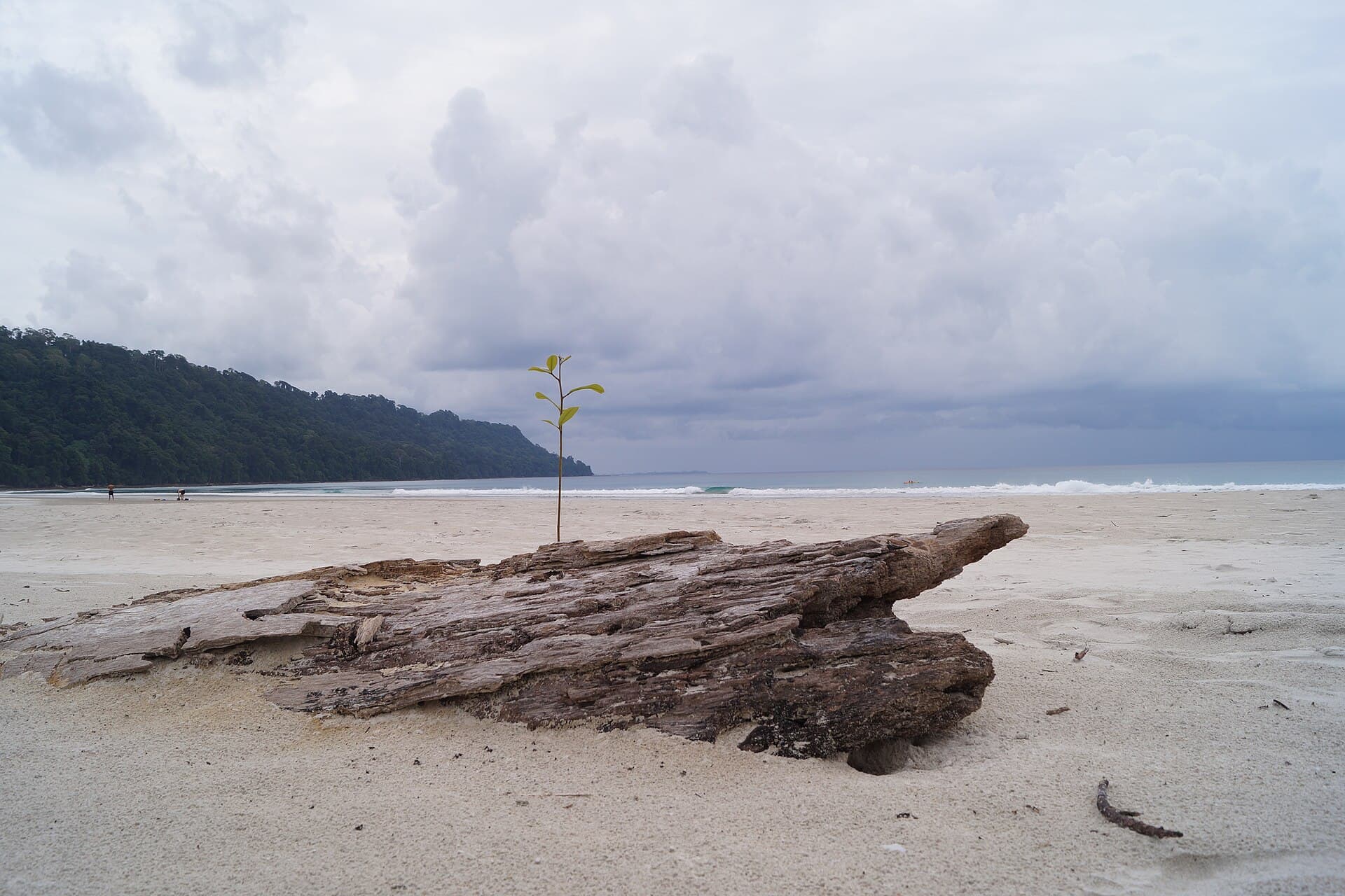 Magical Andaman with Neil