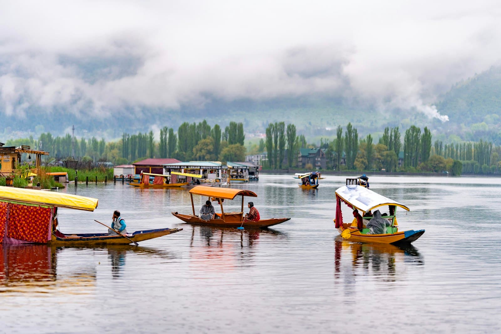 Kashmir