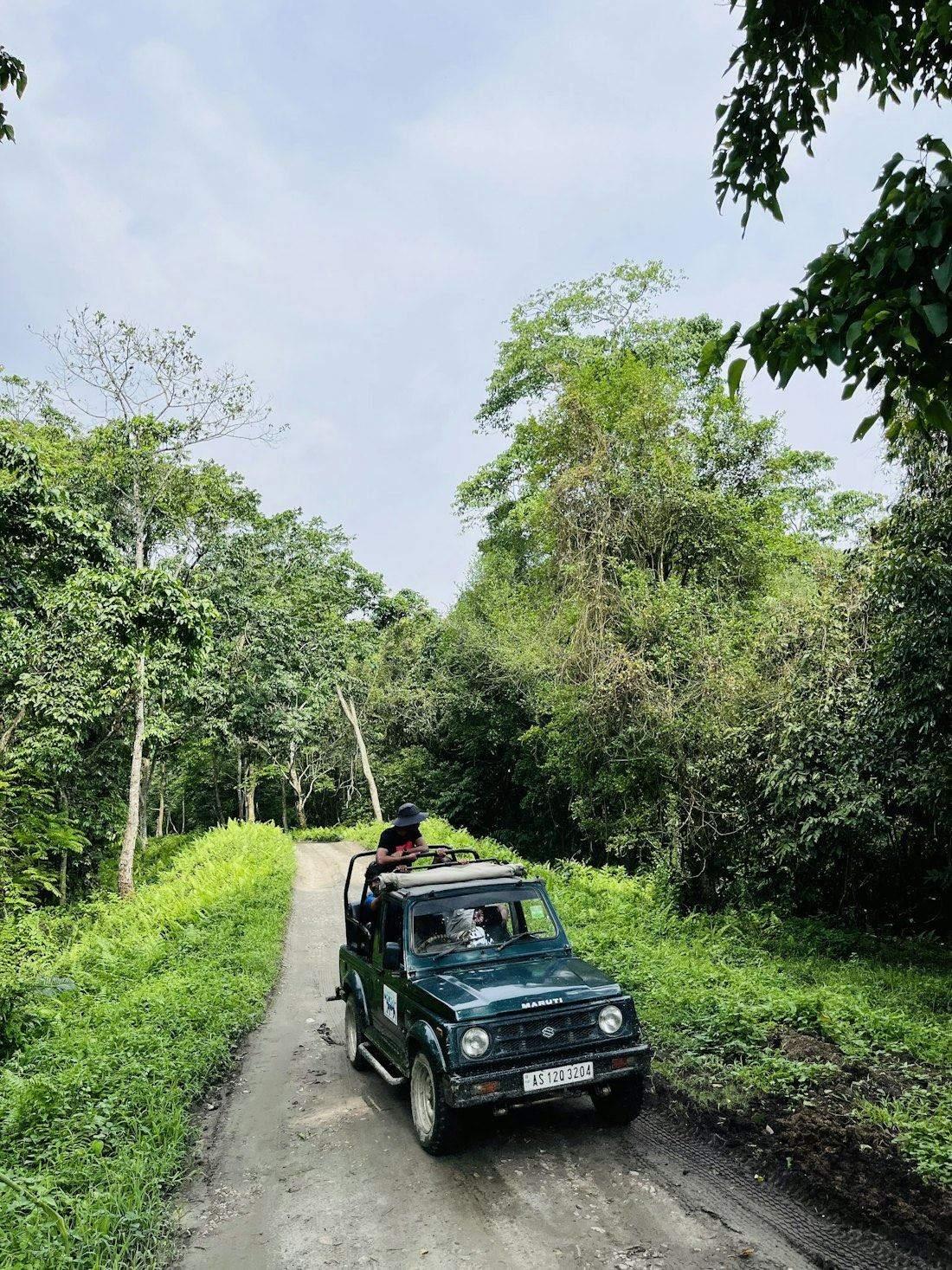 An open green safari jeep with passengers standing up, driving along a dirt track through thick green forest