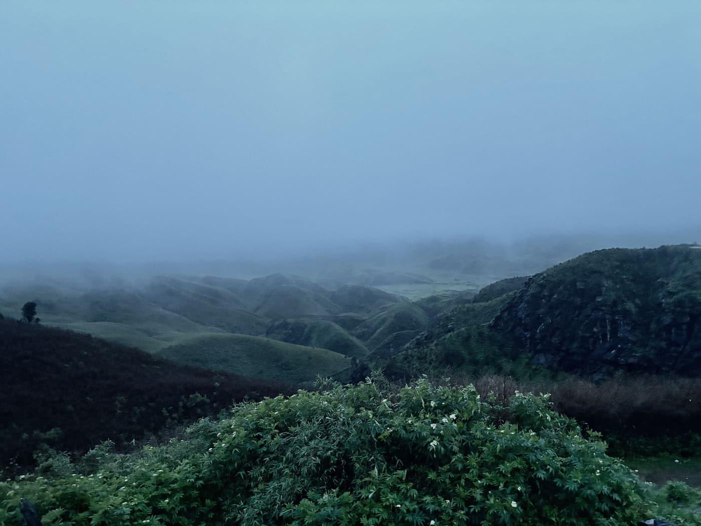 Dzukou Valley: Nagaland's Valley in the Clouds