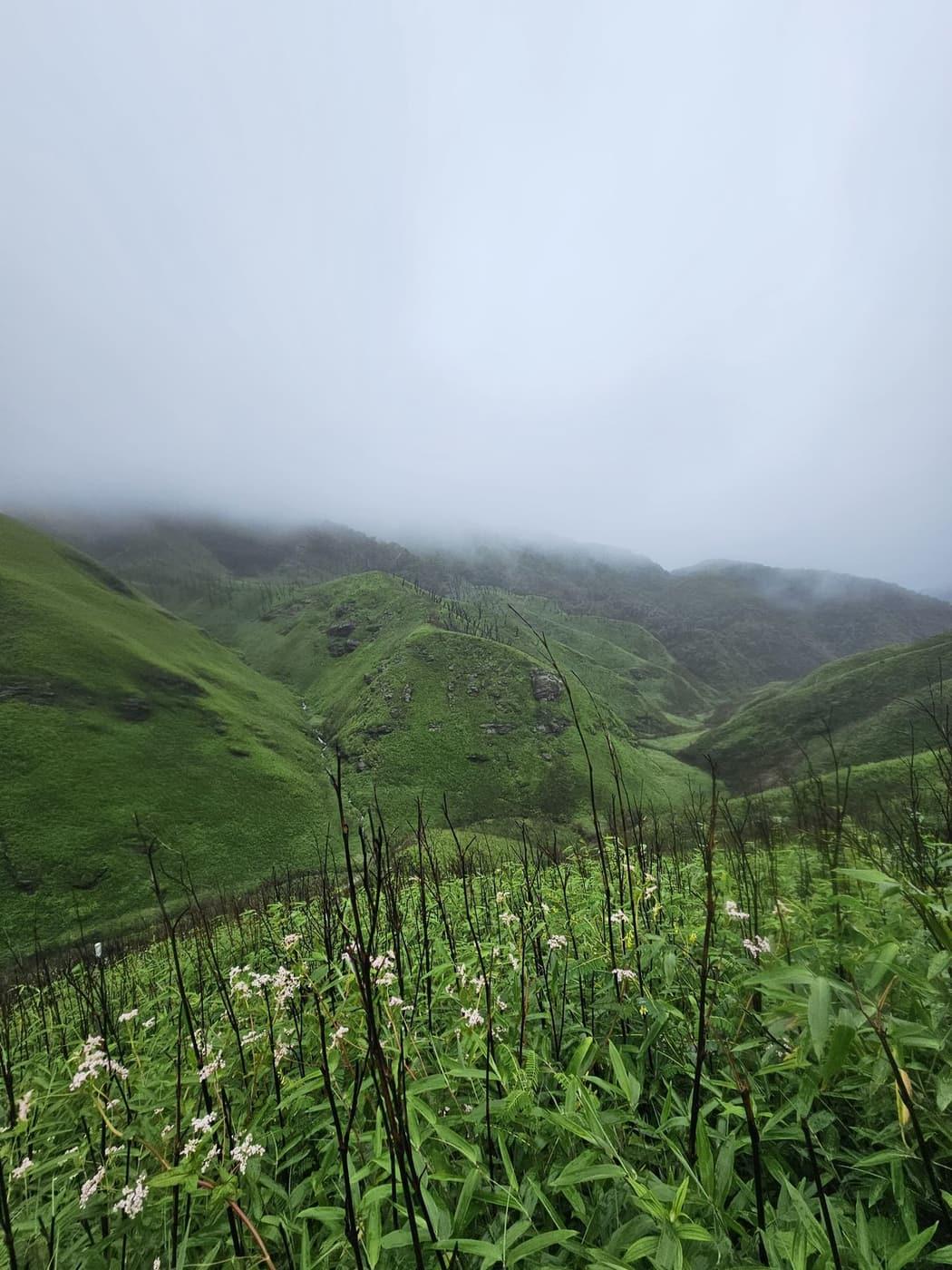 Eight thousand feet up, and completely quiet.