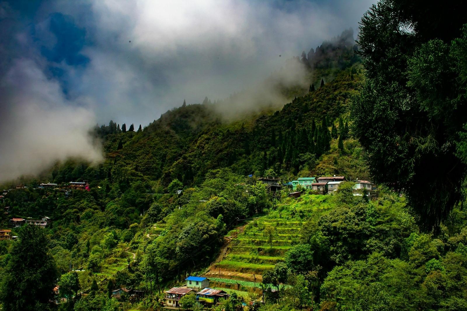 Low cloud drifting over a steep forested hillside with terraced fields and a few houses