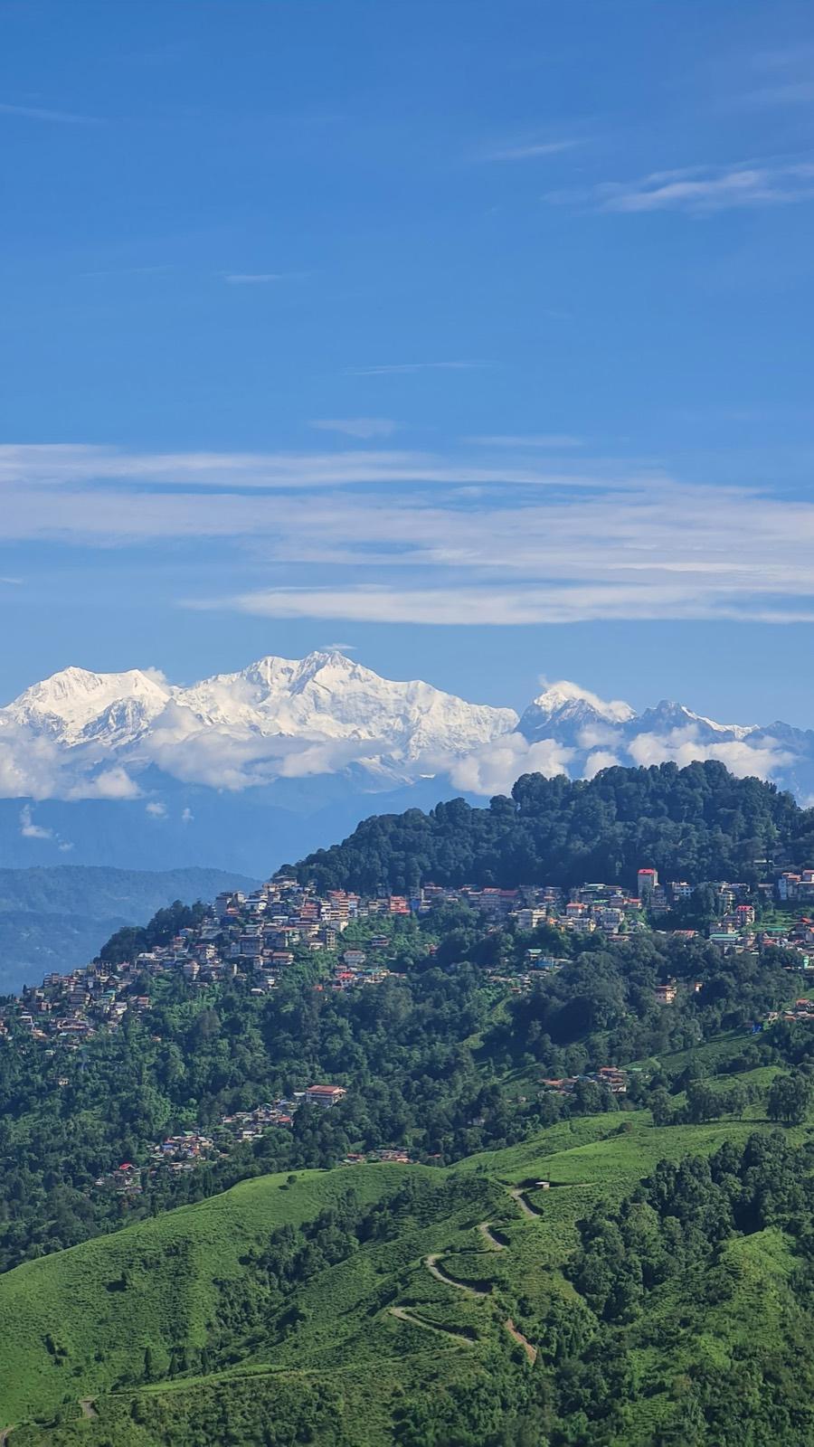 The snow-covered Kanchenjunga range rising above a forested ridge lined with the houses of Darjeeling, tea gardens on the slope below