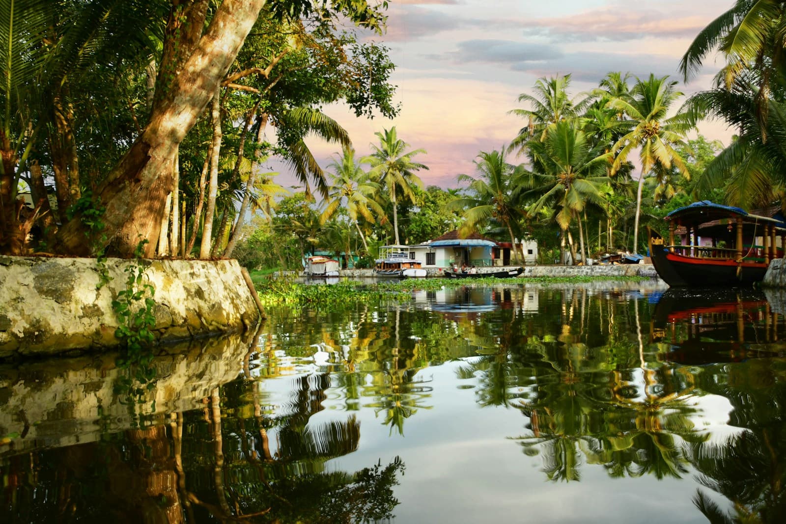 Kerala — Hills, Spice & Backwaters