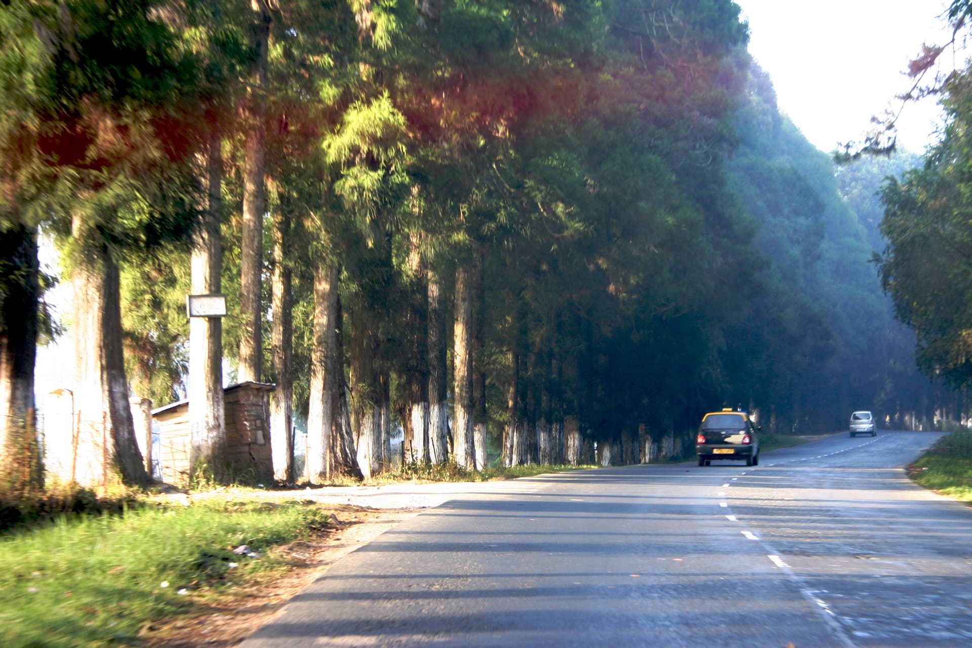 Guwahati to Sohra: The Road That Climbs Into the Clouds