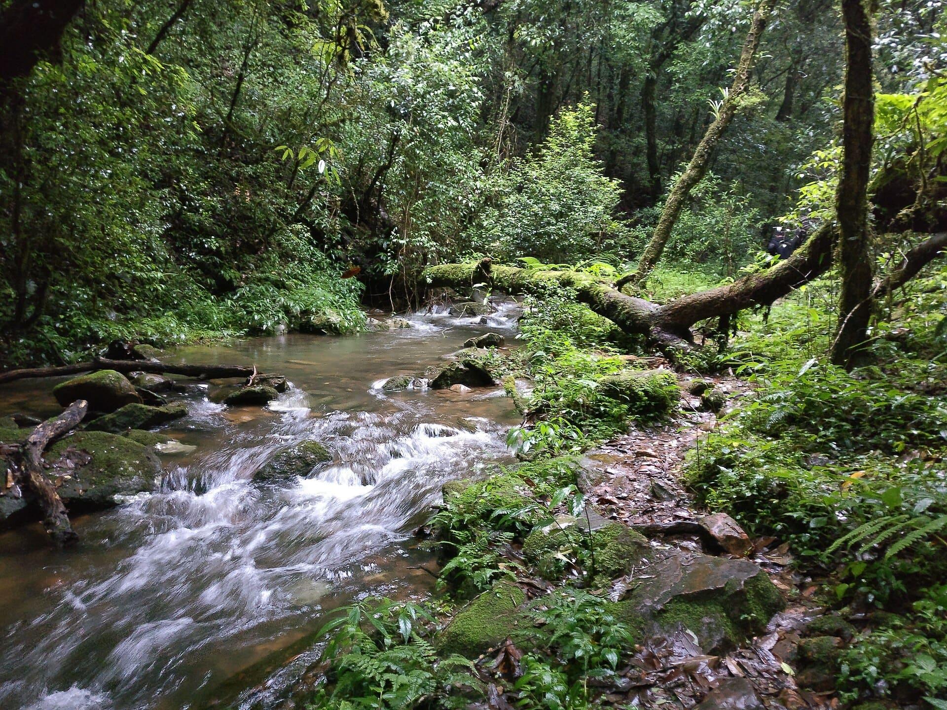 World Heritage Sites in Assam: 3 Listed, 7 More to See