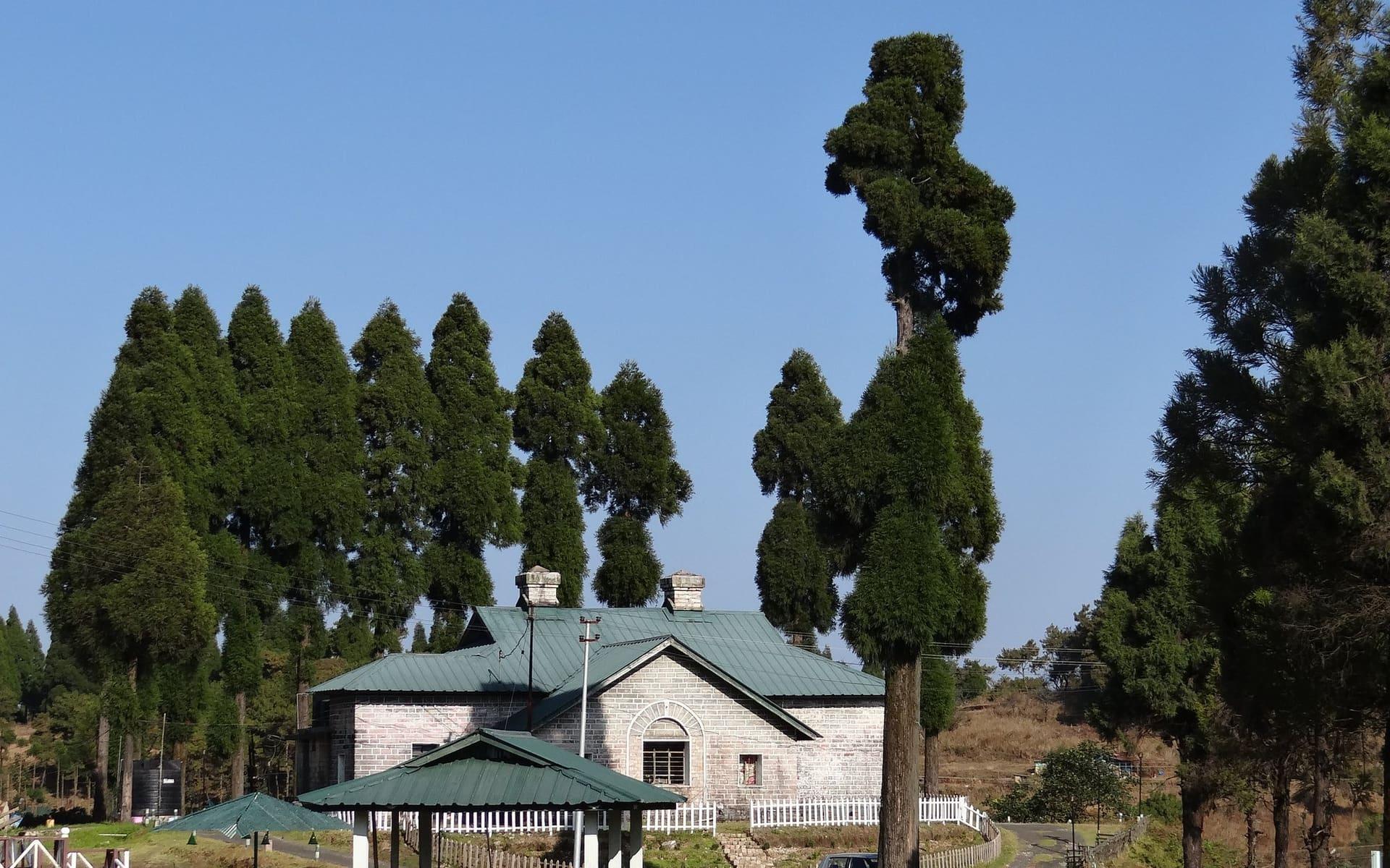 Meghalaya with Kids and Elderly Parents: What's Easy, What to Skip