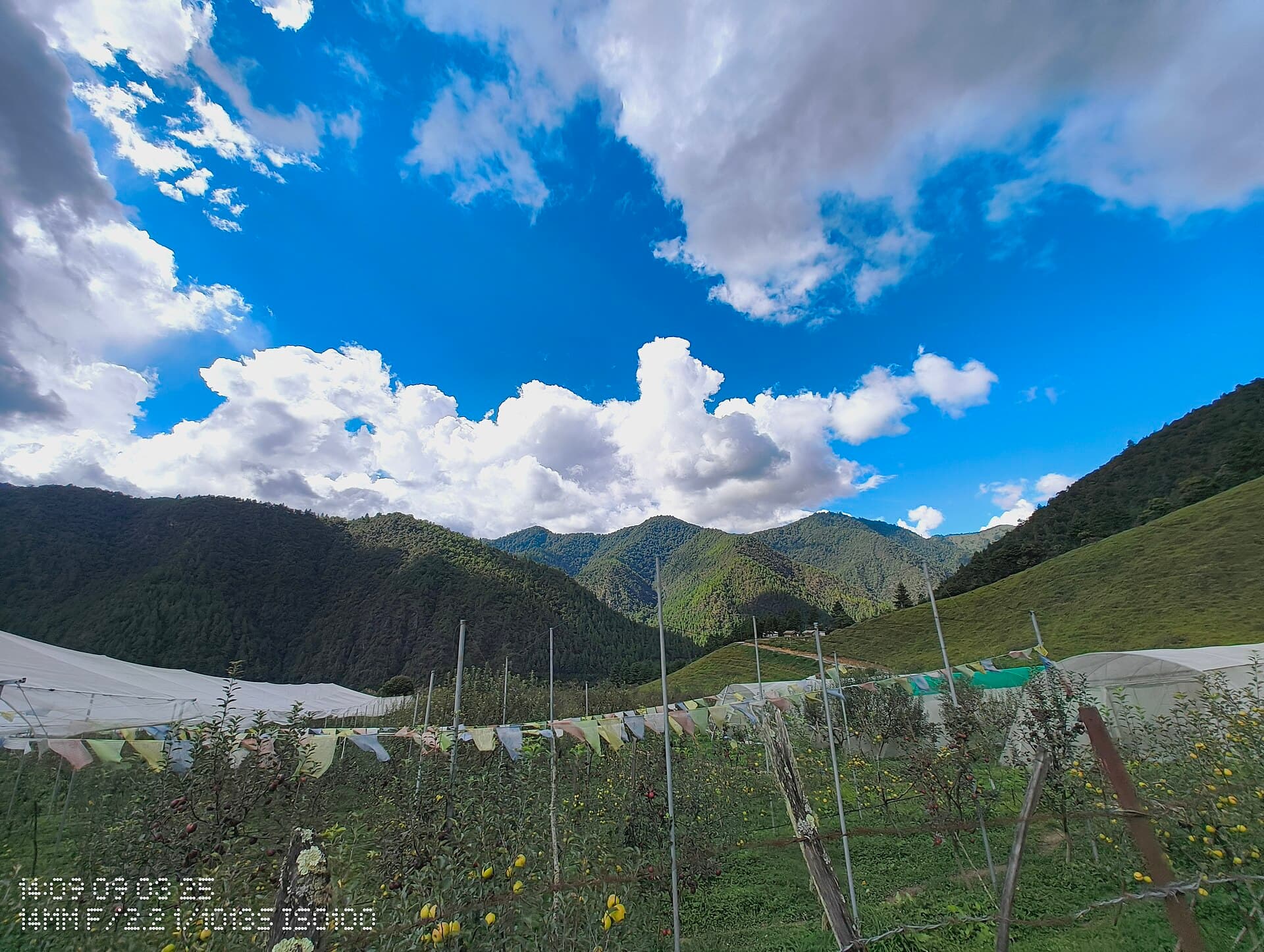Shergaon & Sangti Valleys