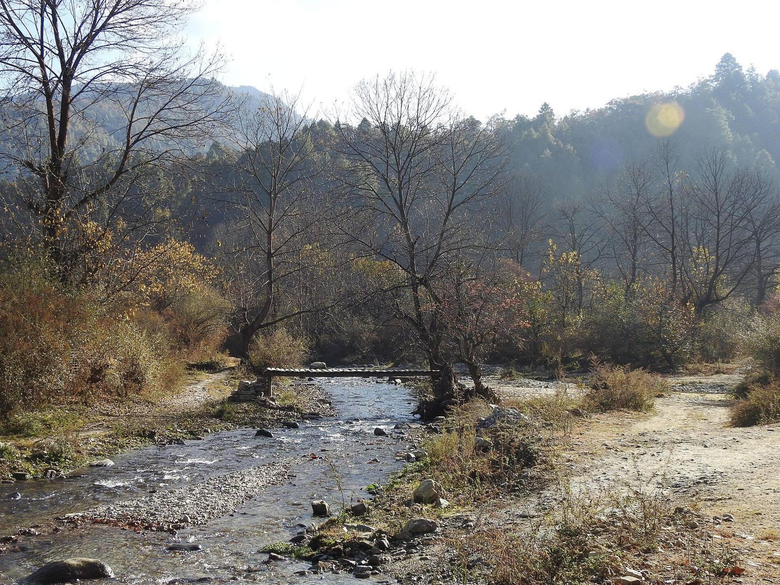 Shergaon: A Farm Stay in Apple Country
