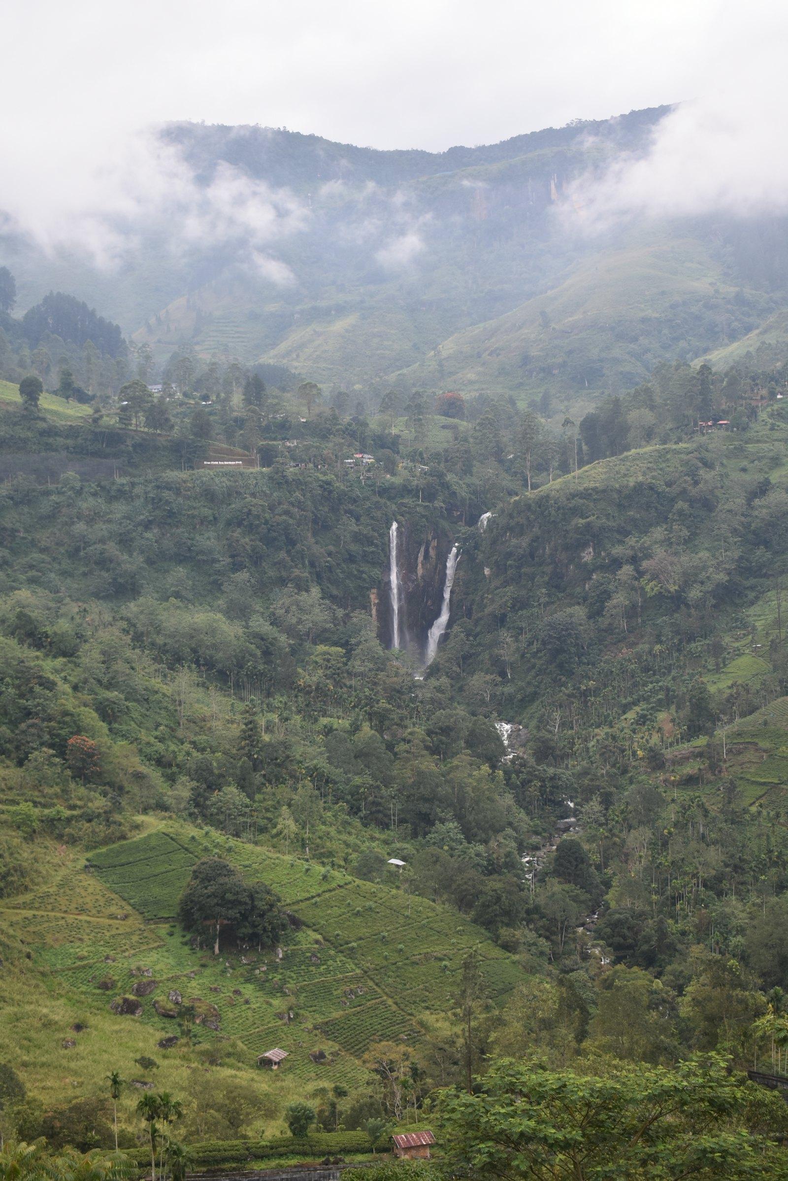 Waterfalls through the tea valleys of the hill country.